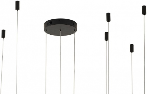 Подвесной светильник Zortes Ringolight ZRS.33320.120F в Нижнем Новгороде фото 5