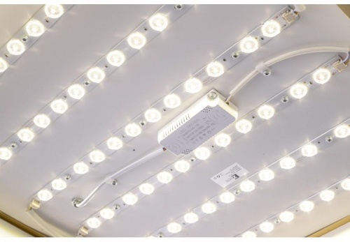 Накладной светильник Zortes Monna ZRS.1209.05 в Нижнем Новгороде фото 11