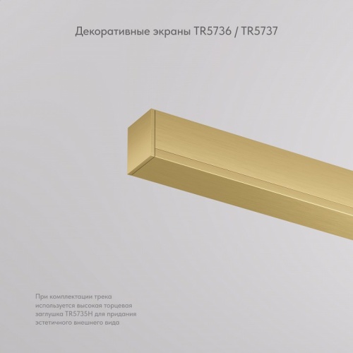 Вставка декоративная Denkirs SHINE BASE TR5736-SB в Нижнем Новгороде фото 7