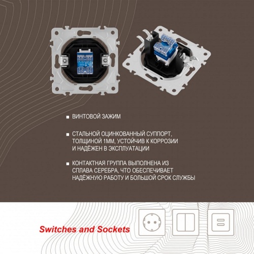 Розетка телефонная RJ-11 без рамки Arte Milano am-202 202.51-1.shampan в Нижнем Новгороде фото 2