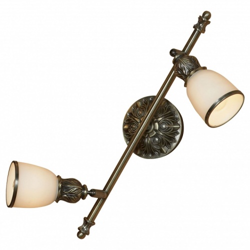 Спот Lussole Furlo LSL-7301-02 в Нижнем Новгороде