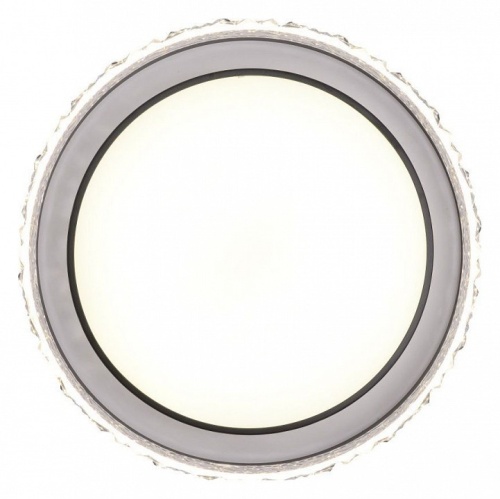 Накладной светильник Zortes Adel ZRS.1200.02 в Нижнем Новгороде фото 8