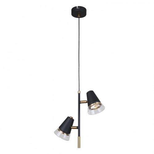 Подвесной светильник F-promo Trandy 4618-2P в Нижнем Новгороде фото 4