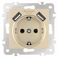 Розетка с заземлением и со шторкой и 2хUSB, без рамки Arte Milano am-206 206.47-1.shampan в Нижнем Новгороде
