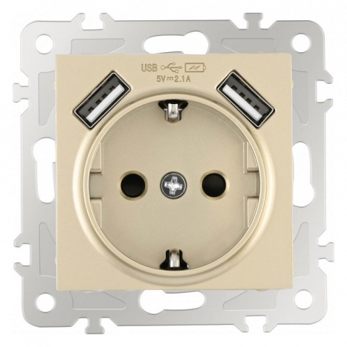 Розетка с заземлением и со шторкой и 2хUSB, без рамки Arte Milano am-206 206.47-1.shampan в Нижнем Новгороде