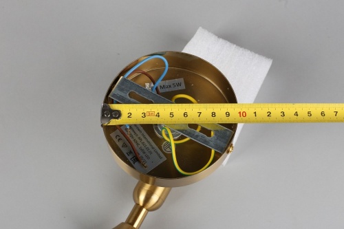 Бра Aployt Ewelina APL.621.01.01 в Нижнем Новгороде фото 6