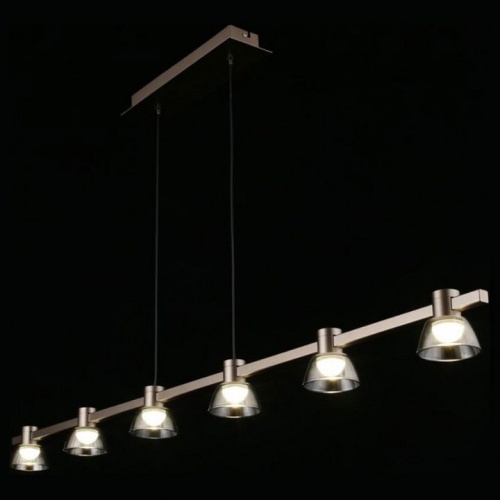 Подвесной светильник Aployt Rezeda APL.788.03.06 в Нижнем Новгороде фото 6