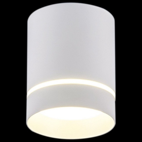 Накладной светильник 16133 16133-9.5-001RT MR16 WT в Нижнем Новгороде фото 4