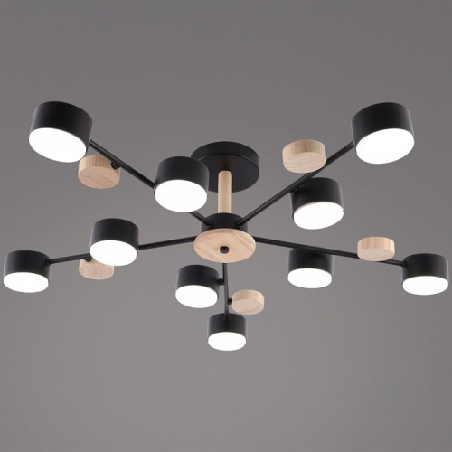 Люстра на штанге 03758 03758-0.3-10 BK+WOOD GX53 в Нижнем Новгороде фото 6