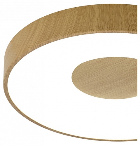 Накладной светильник Mantra Coin 7565 в Нижнем Новгороде фото 2