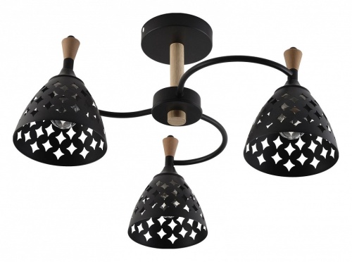 Люстра на штанге 01515-0.3-03 BK+WOOD в Нижнем Новгороде