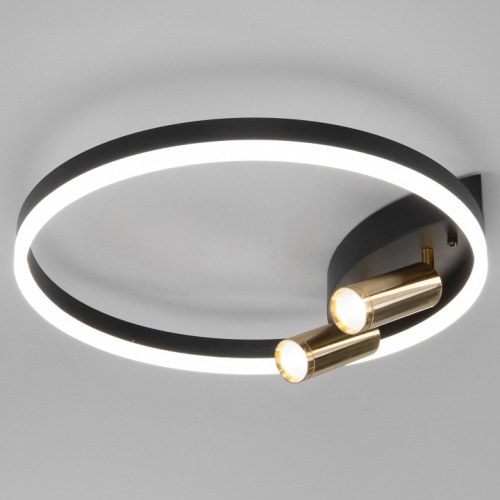 Накладной светильник Eurosvet Luminari 90247/3 черный/золото Smart в Мегионе