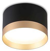 Накладной светильник Ambrella Light TU TU52359 в Нижнем Новгороде