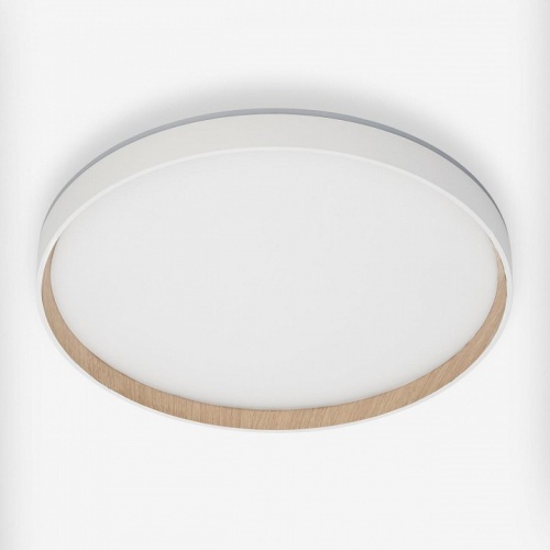 Накладной светильник Citilux ETALON CL750400R в Нижнем Новгороде фото 7