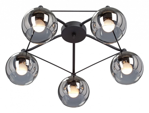 Потолочная люстра Vitaluce  V4703-1/5PL в Нижнем Новгороде