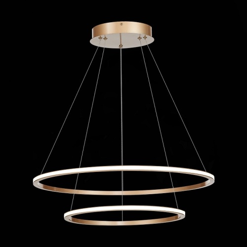 Подвесной светильник ST-Luce ST604 OUT ST604.243.56 в Нижнем Новгороде фото 3