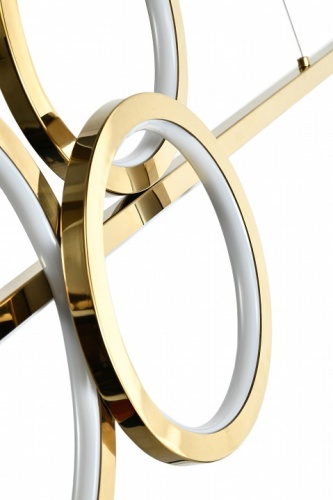 Подвесной светильник Zortes Osty ZRS.1209.04 в Нижнем Новгороде фото 4