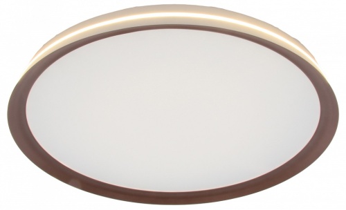 Накладной светильник Mizi`en Titan MZ31502-640 в Нижнем Новгороде фото 5