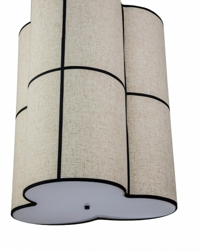 Подвесной светильник Indigo Triade 13019/B/3P Black в Нижнем Новгороде фото 3