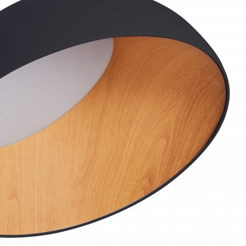 Накладной светильник Zortes Baum ZRS.01243.07 в Нижнем Новгороде фото 3