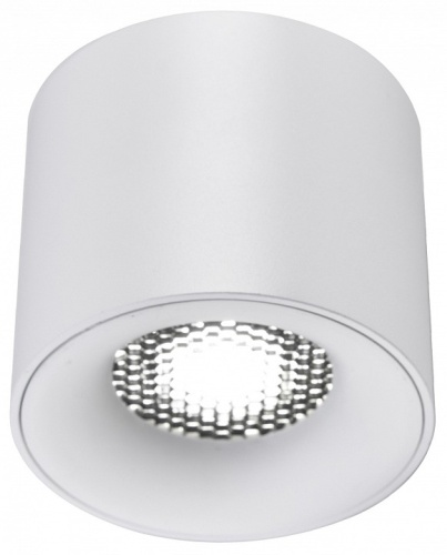 Накладной светильник ST-Luce ST761 ST761.543.10 в Нижнем Новгороде