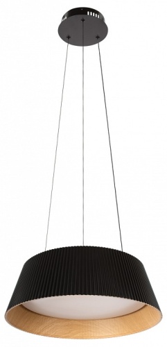 Подвесной светильник Loft it Evans 10224P Black в Нижнем Новгороде фото 7