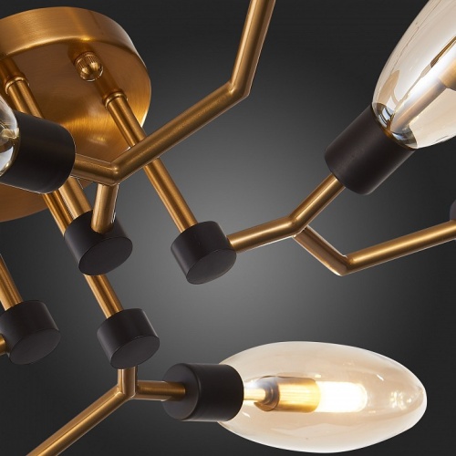 Потолочная люстра ST-Luce Desima SL1174.302.08 в Нижнем Новгороде фото 5