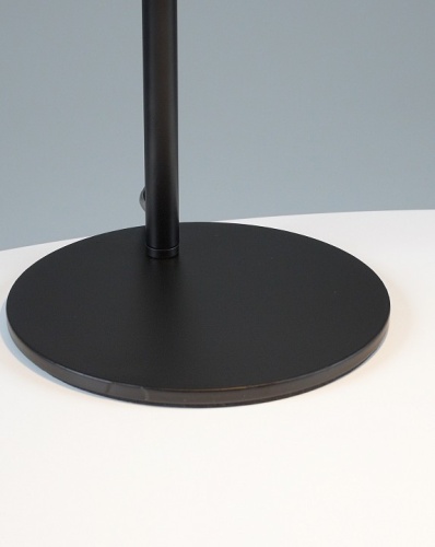 Настольная лампа офисная Moderli Fine V11002-TL в Нижнем Новгороде фото 3