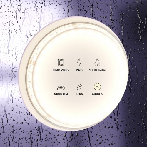 Лента светодиодная Maytoni Led strip 10146 в Нижнем Новгороде фото 3