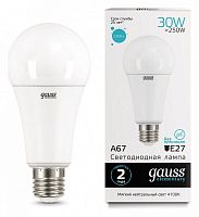 Лампа светодиодная Gauss Led Elementary A67 E27 30Вт 4100K 73229 в Нижнем Новгороде
