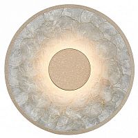 Накладной светильник Favourite Solarius 4858-1W в Нижнем Новгороде