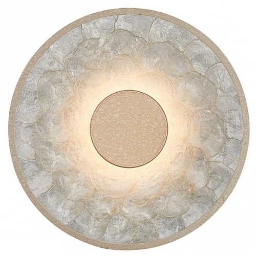 Накладной светильник Favourite Solarius 4858-1W в Нижнем Новгороде