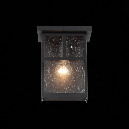Накладной светильник ST-Luce Glazgo SL079.401.01 в Новочеркасске фото 4