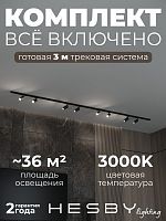 Комплект трековый Hesby Lighting Skylite №3 HSBL_kompl_S003_NI3B3K в Нижнем Новгороде