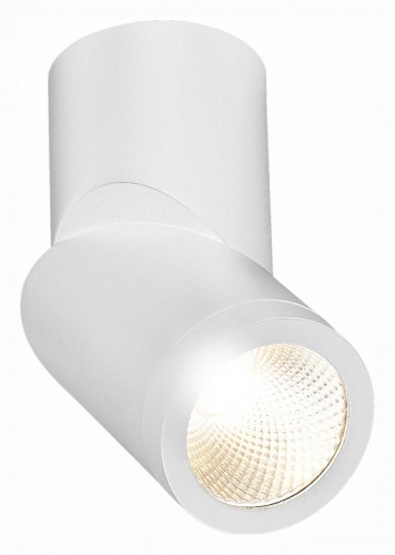 Светильник на штанге ST-Luce ST650 ST650.532.10 в Нижнем Новгороде фото 5