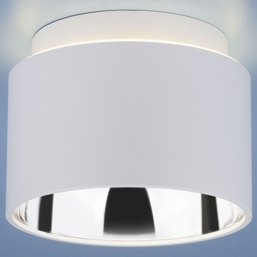 Накладной светильник Elektrostandard Charlie a036624 в Нижнем Новгороде