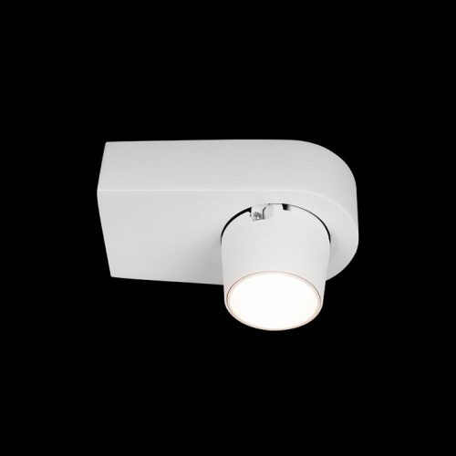 Накладной светильник Loft it Quiet 10320 White в Ермолино фото 5