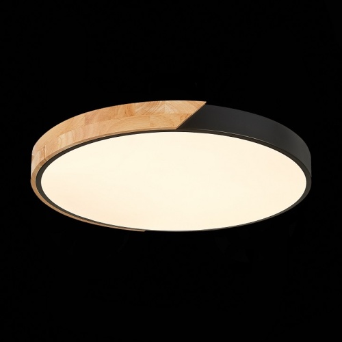 Накладной светильник EVOLUCE Festa SLE200942-01 в Нижнем Новгороде фото 6