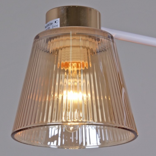 Люстра на штанге  20560-0.3-03 WH+FG в Нижнем Новгороде фото 2