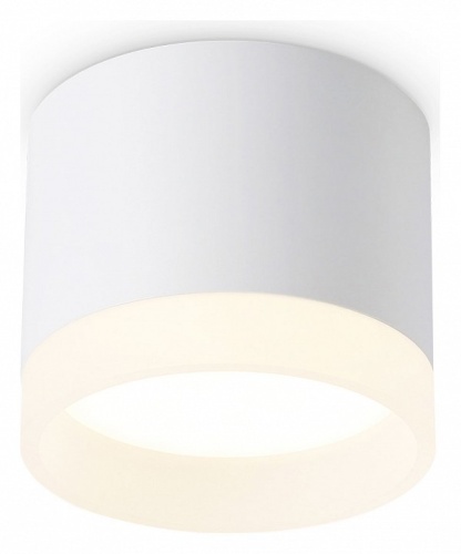 Накладной светильник Ambrella Light TN TN5365 в Нижнем Новгороде