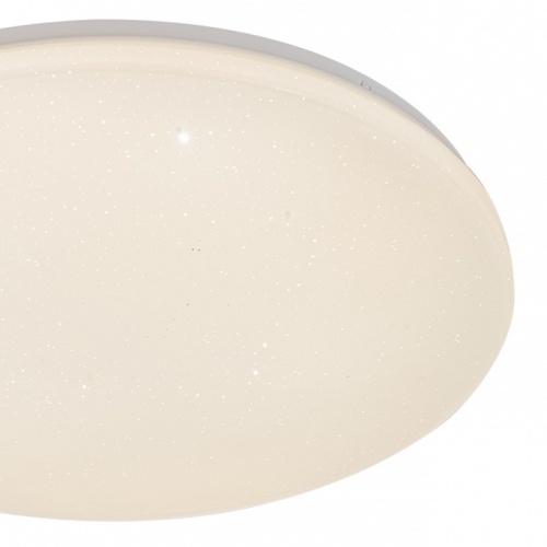 Накладной светильник Escada  10213/SG LED в Нижнем Новгороде фото 4