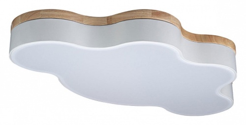 Накладной светильник Loft it Axel 4 10005/36 White в Нижнем Новгороде фото 6