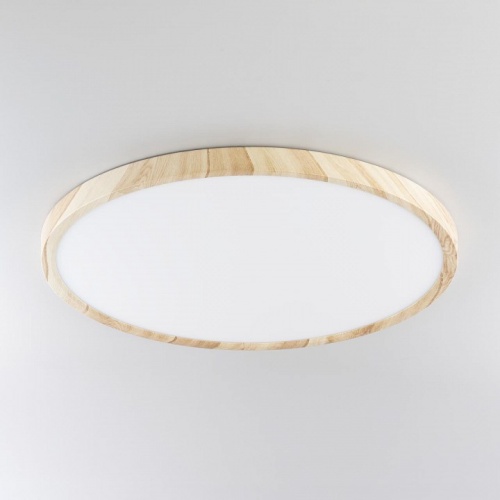 Накладной светильник Citilux Бейсик CL738322V в Нижнем Новгороде фото 3