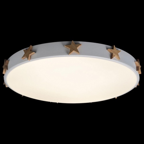 Накладной светильник Loft it Axel 5 10006/36 White в Нижнем Новгороде фото 3