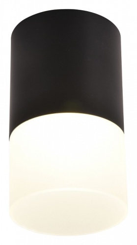 Накладной светильник Favourite Naram 3070-1C в Липецке фото 4