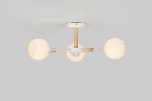 Люстра на штанге Rivoli Chiara Б0068427 в Нижнем Новгороде фото 6