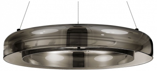 Подвесной светильник ST-Luce Foray SL6019.333.01 в Пыталово