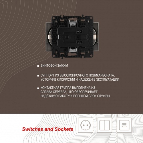 Розетка двойная с заземлением, без рамки Arte Milano am-217 217.40-2.shampan в Нижнем Новгороде фото 2