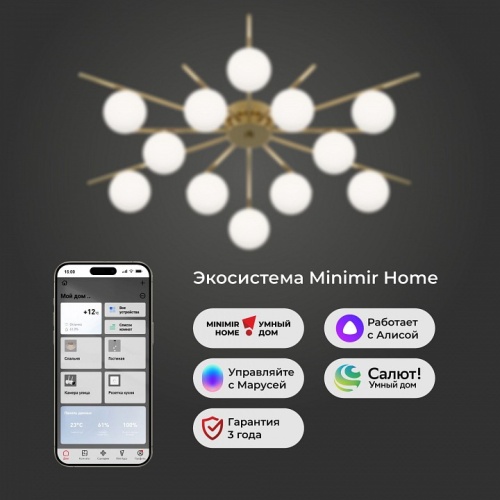 Потолочная люстра Eurosvet Sabina 302001/12 в Нижнем Новгороде фото 5