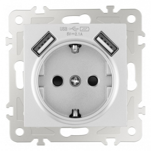 Розетка с заземлением и со шторкой и 2хUSB, без рамки Arte Milano am-206 206.47-1.silver в Нижнем Новгороде
